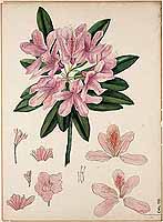  no thumbnail available