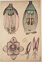  no thumbnail available