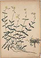  no thumbnail available