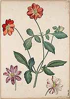  no thumbnail available