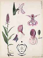  no thumbnail available