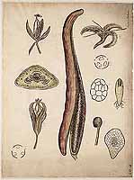  no thumbnail available