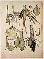  no thumbnail available