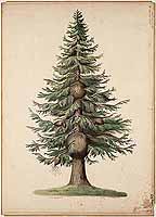  no thumbnail available