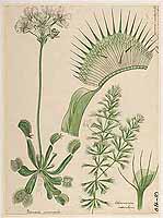  no thumbnail available