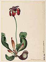  no thumbnail available