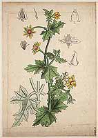  no thumbnail available