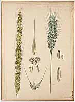  no thumbnail available