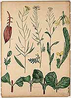  no thumbnail available