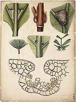  no thumbnail available