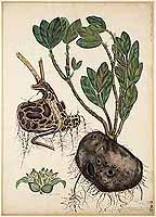  no thumbnail available