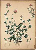  no thumbnail available