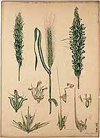  no thumbnail available