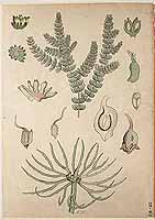  no thumbnail available