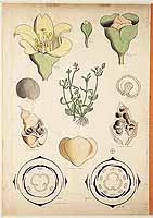  no thumbnail available