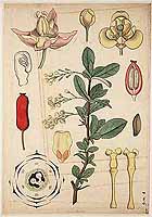  no thumbnail available