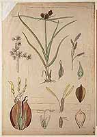  no thumbnail available