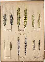  no thumbnail available