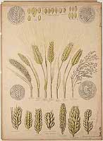  no thumbnail available