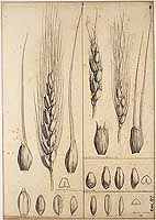  no thumbnail available