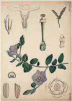  no thumbnail available