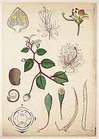  no thumbnail available