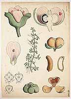  no thumbnail available