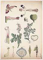  no thumbnail available