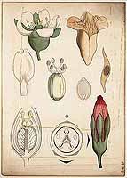  no thumbnail available