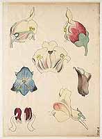  no thumbnail available