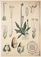  no thumbnail available