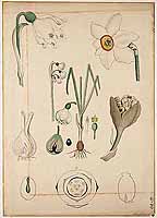  no thumbnail available