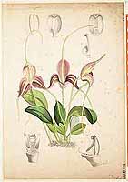  no thumbnail available