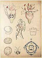  no thumbnail available