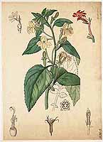  no thumbnail available