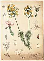  no thumbnail available