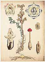  no thumbnail available