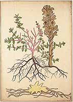  no thumbnail available