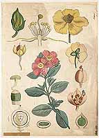  no thumbnail available