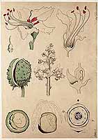  no thumbnail available