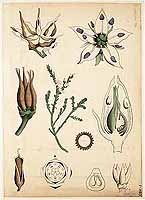  no thumbnail available