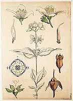  no thumbnail available