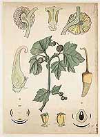  no thumbnail available