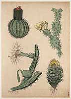  no thumbnail available