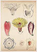  no thumbnail available