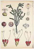  no thumbnail available