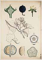  no thumbnail available