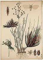  no thumbnail available