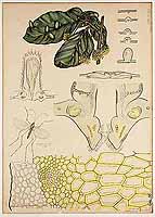  no thumbnail available