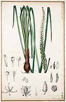  no thumbnail available